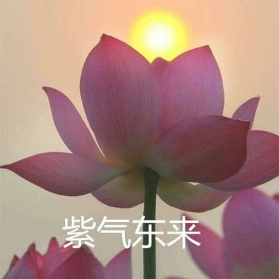 歌手伍佰发布紧急公告